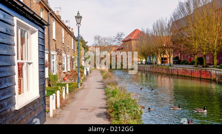 Auf dem Land neben Fluss Lee Hertford Stockfoto