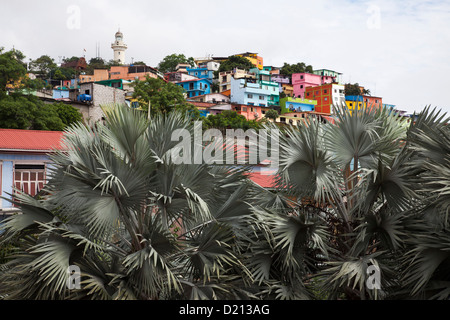 Bunte Häuser in Las Penas Bezirk, Guayaquil, Ecuador, Südamerika Stockfoto