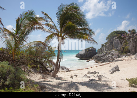 Palmen am Strand von den Ruinen von Tulum, Tulum, Riviera Maya, Quintana Roo, Mexiko Stockfoto