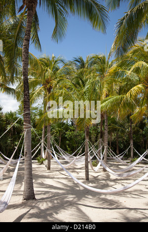 Hängematten Aufhängen von Kokospalmen auf Xel-Ha Water Park, Tulum, Riviera Maya, Quintana Roo, Mexiko Stockfoto