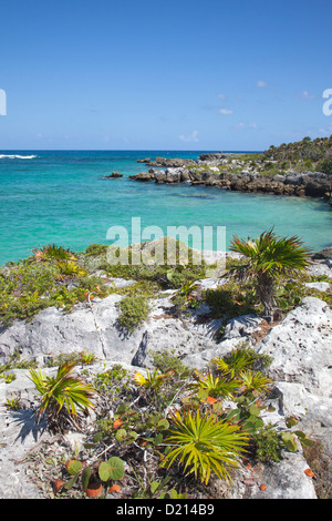 Küste bei Xel-Ha-Wasserpark, Tulum, Riviera Maya, Quintana Roo, Mexiko Stockfoto