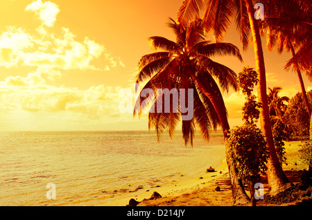 Tropischer Sonnenuntergang an einem Strand mit einer Kokospalme auf Moorea, einer Insel in der Nähe von Tahiti in Französisch-Polynesien. Stockfoto