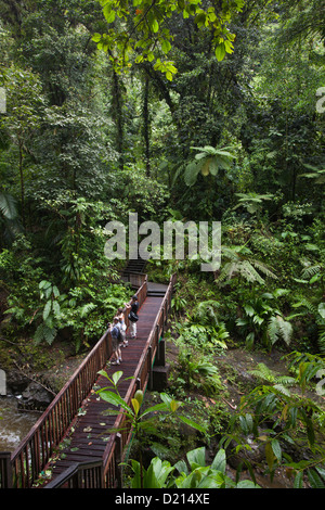 Regenwald und Menschen auf einer Brücke über Bach gespeist wird der Wasserfall von Carbet, Parc National De La Guadeloupe, Basse-Terre, Gua Stockfoto