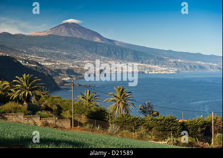 Nort Coast und Pico de Teide Vulkan, Teneriffa, Kanarische Inseln, Spanien, Europa Stockfoto