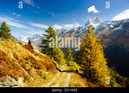 Bietschhorns Berggipfel im Herbst mit Wanderweg. Blick vom Laucheralp, Lötschental, Wallis, Schweiz Stockfoto