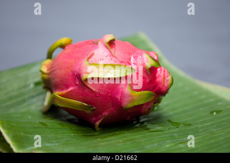 Drachenfrucht auf Bananenblatt mit grauem Hintergrund Stockfoto