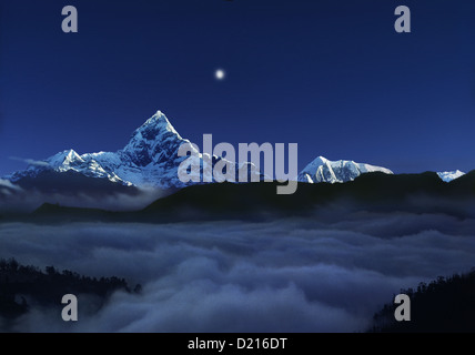 Sonnenaufgang mit Mond über den Heiligen Machapuchare, Pokhara, Gandaki, Nepal, Asien Stockfoto