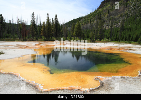 Old Faithful Geysir, Yellowstone-Nationalpark Stockfoto