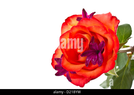 hellen Bukett von Rosen und Blumen im Frühling Stockfoto