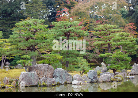 Kiefer und Felsen im Teich des Kinkaku-Ji Tempel japanischen Gartens, Kyoto, Japan Stockfoto