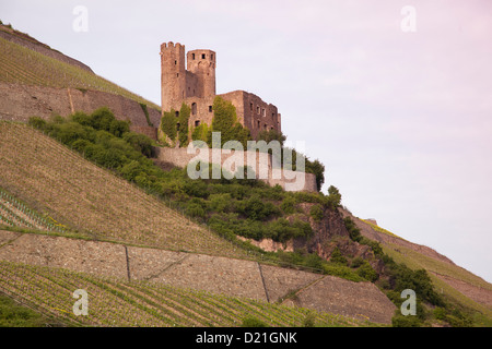 Ehrenfels Burg über das Rheintal, Rüdesheim bin Rhein, Hessen, Deutschland, Europa Stockfoto