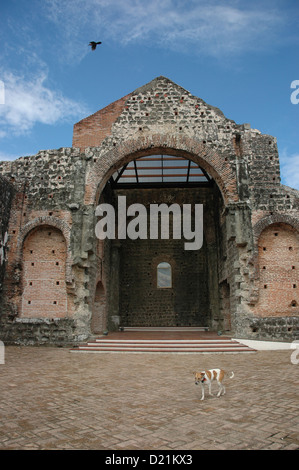 Ciudad de Panamá (Panama): Ruinen von Panamá la Vieja (auch Panamá Viejo) Stockfoto