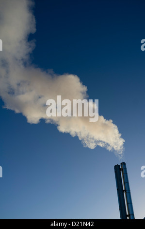 Dampf entweichen aus dem Schornstein eines kommerziellen Biomasse befeuerten Kraft-Wärme-Kopplung (KWK) zu Pflanzen, an einem kalten Wintermorgen. UK Stockfoto