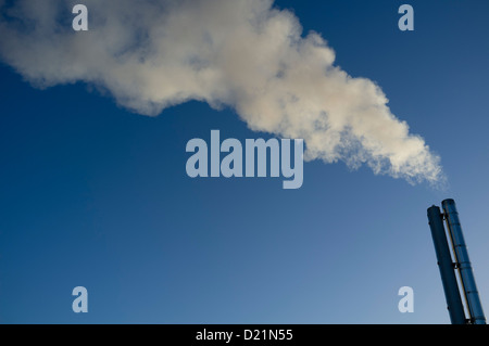 Dampf entweichen aus dem Schornstein eines kommerziellen Biomasse befeuerten Kraft-Wärme-Kopplung (KWK) zu Pflanzen, an einem kalten Wintermorgen. UK Stockfoto