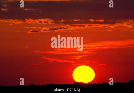 AM FRÜHEN MORGEN UND DER AFRIKANISCHEN SONNE ERHEBT SICH ÜBER DER KALAHARI Stockfoto