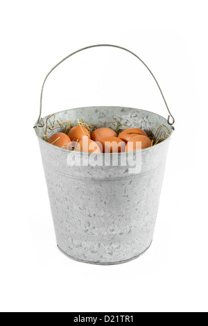 Metall-Eimer von Eiern Stockfoto