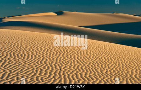 Dünen bei Sonnenaufgang, Monahans Sandhills Staatspark, Chihuahua-Wüste, Texas, USA Stockfoto