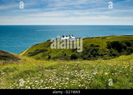 Durlston Kopf Country Park und Leuchtturm Stockfoto