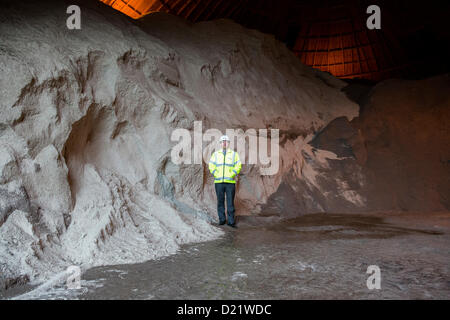 Essex Autobahnen Depot in Springfield, Chelmsford. Dean Willsher, Area Manager von Essex Autobahnen steht in der Kuppel, die 4000 Tonnen Korn Straße hält, bereit zu halten die Straßen von Essex klar aus Schnee und Eis, die für die nächsten paar Tage vorhergesagt hat. Bildnachweis: Allsorts Stock Foto / Alamy Live News Stockfoto