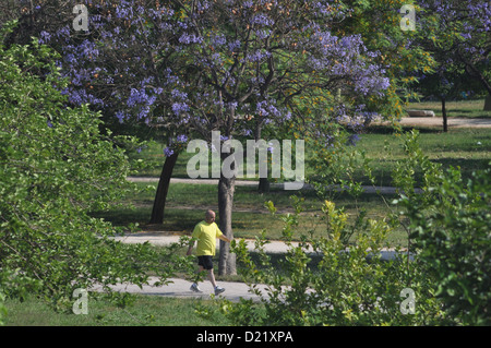 Valencia, Spanien: Jardí del Turia Stockfoto