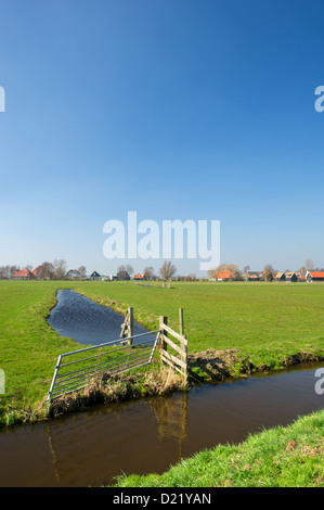 Typische holländische Landschaft mit Wiesen und Gräben Stockfoto