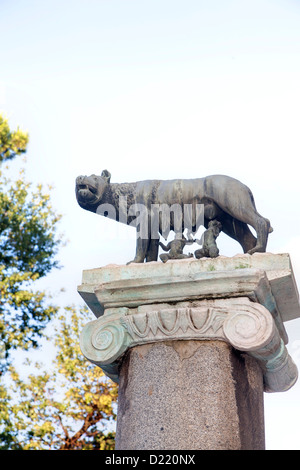 Lupa sie wolf Symbol von Rom Italien Stockfoto