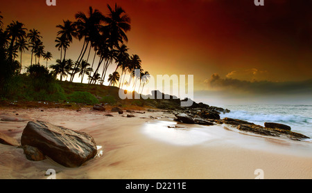 Sehr schöne lebendige Sonnenaufgang unter den Kokos-Palmen am Strand von Sri Lanka. Panorama-Foto Stockfoto