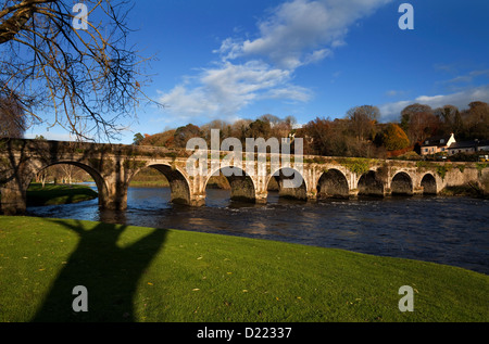 Die alte Brücke über den Fluss Nore, Inistioge, Grafschaft Kilkenny, Irland Stockfoto