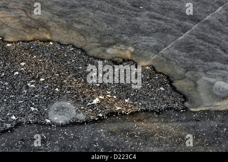 Frost und Eis Muster in einem Biber Teich, größere Sudbury (lebendig), Ontario, Kanada Stockfoto