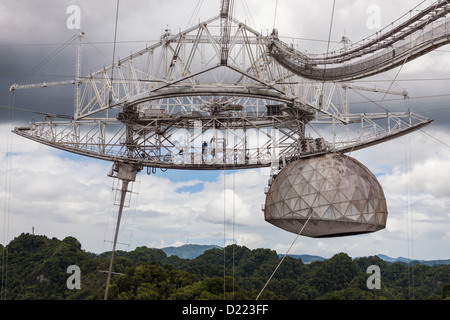 Weltweit größten Single-Gericht Radioteleskop Arecibo-Observatorium, Arecibo, Puerto Rico Stockfoto