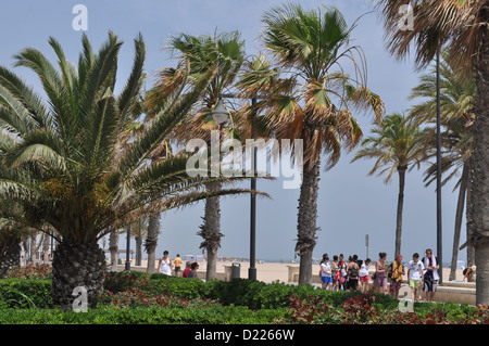 Valencia, Spanien: Paseo Neptuno, Playa de Las Arenas Stockfoto