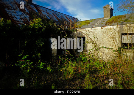 Altes Bauernhaus ländlichen Irland Stockfoto