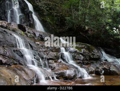 Laurel Falls ist eine der vielen beliebten Wasserfälle zu wandern in der Great Smoky Mountain National Park Stockfoto