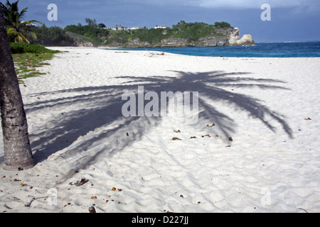 der Schatten einer Palme auf dem sandigen Strand Foul Bay in Barbados Stockfoto