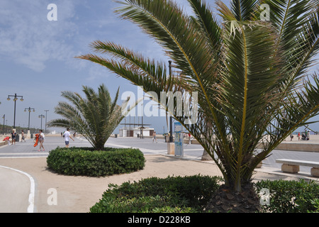 Valencia, Spanien: Paseo Neptuno, Playa de Las Arenas Stockfoto