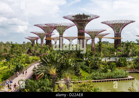 Supertrees Gardens by the Bay, Singapur. Stockfoto