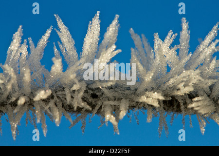 Frostigen Zaun Stockfoto