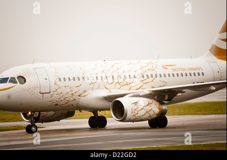 British Airways Airbus A319 Flugzeug Rollen bei der Ankunft am internationalen Flughafen Manchester England Vereinigtes Königreich UK Stockfoto