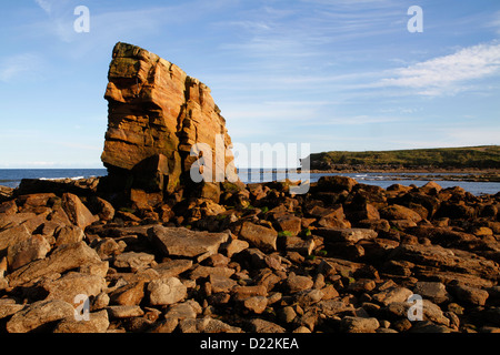 Ein Meer Stack Felsformation bekannt als Charlies Garten, Collywell Bay, Seaton Schleuse, Northumberland, England, UK Stockfoto