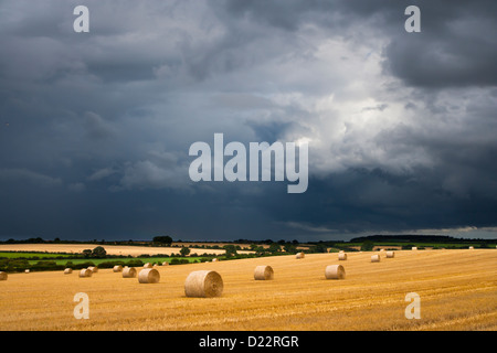 Sommer Gewitter Brauen über Kornfelder Norfolk Stockfoto