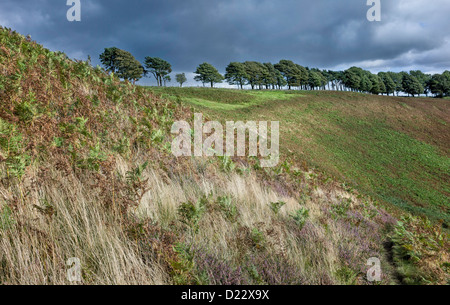 Gewitter über die North York Moors in der Nähe der Ortschaft Levisham an einem bewölkten Tag im Sommer, Yorkshire, Großbritannien. Stockfoto