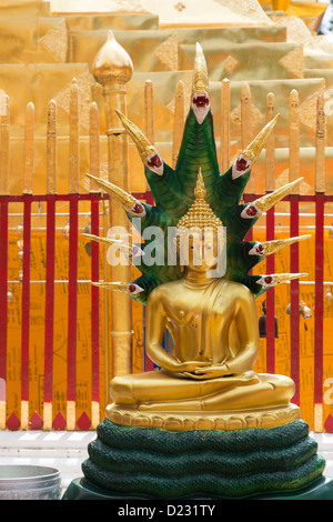 Wat Phrathat Doi Suthep in der Nähe von Chiang Mai, Nord Thailand Stockfoto