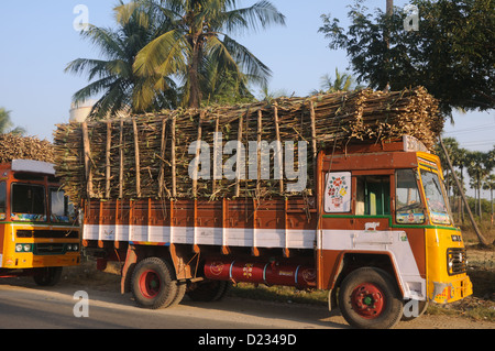 Ein LKW mit Zuckerrohr erodieren, Tamil Nadu, Indien Stockfoto