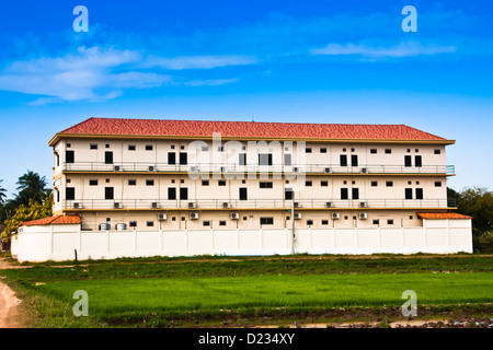 Appartement mitten in den Reisfeldern. Stockfoto