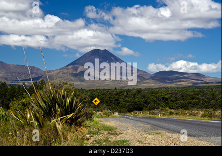 Kiwis-Schild an der Straße Richtung Tongariro National Park mit dem perfekt symmetrische Mt Ngauruhoe im Hintergrund Stockfoto