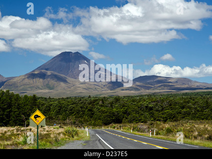 Kiwis-Schild an der Straße Richtung Tongariro National Park mit dem perfekt symmetrische Mt Ngauruhoe im Hintergrund Stockfoto