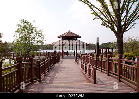 Kirsche, Gu Village Park, Baoshan District, Shanghai, China. Stockfoto