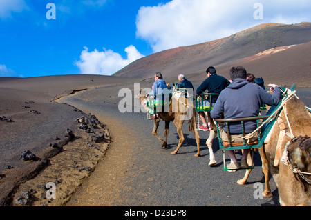 Kamel-Safari, Nationalpark Timanfaya, Lanzarote, Kanarische Inseln, Spanien Stockfoto