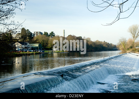 Llandaff Weir am Fluss Taff llandaff cardiff South wales großbritannien Stockfoto