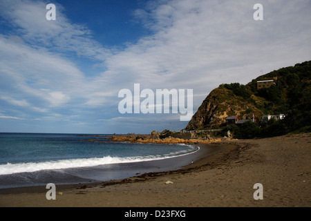Der Strand in Houghton Bucht, westlich von Wellington. Stockfoto